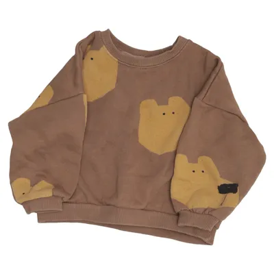 Sweatshirt (Marron, Jaune, Multicolore) de Zara Coton, Élasthane
