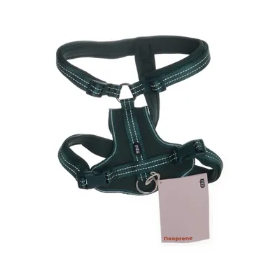 Hundsele (Grön) från Tiki