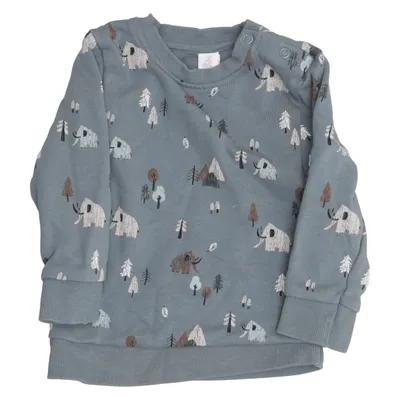 Sweatshirt (Blau, Mehrfarbig) von Topomini Bio-Baumwolle, Polyester