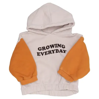 Hoodie (Beige, Brown, Multicolored) from Zara Cotton, Polyester