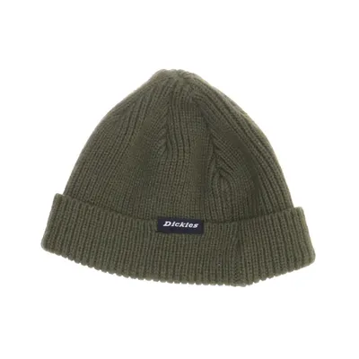 Beanie (Groen) van Dickies Acryl