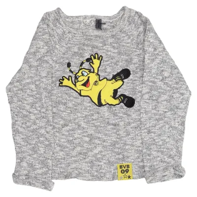Sweatshirt (Gray, Multicolored) from BVB