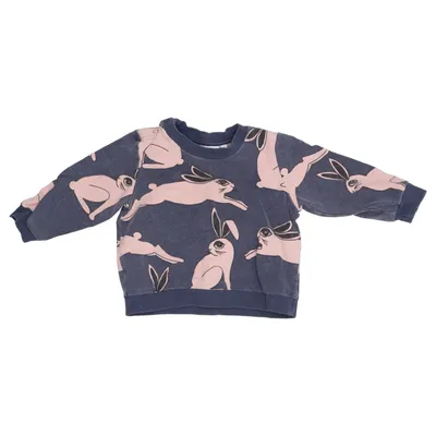 Sweatshirt (Blue, Pink) from Mini Rodini Elastane, Organic cotton