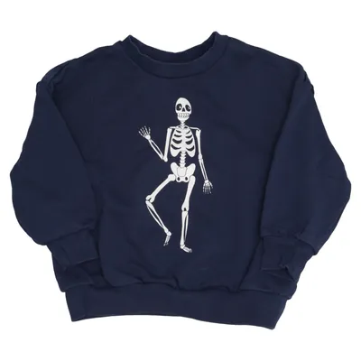 Sweatshirt (Blue) from Mini Rodini Cotton