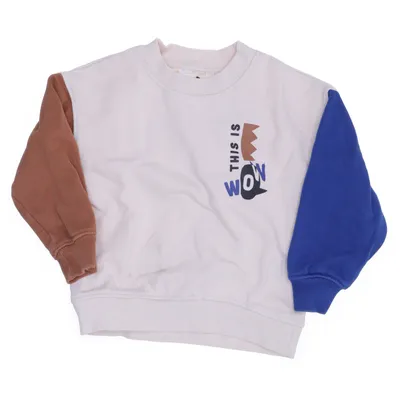 Collegetröja (Beige, Blå, Brun, Flerfärgad) från H&M Kids Bomull