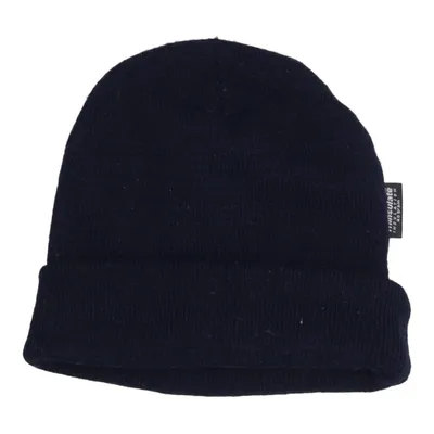 Beanie-Mütze (Blau) von Thinsulate