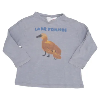 Langærmet t-shirt (Grå, Brun) fra Zara