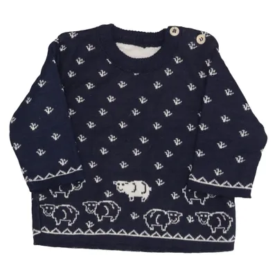 Sweater (Blue, White) from Disana Wool