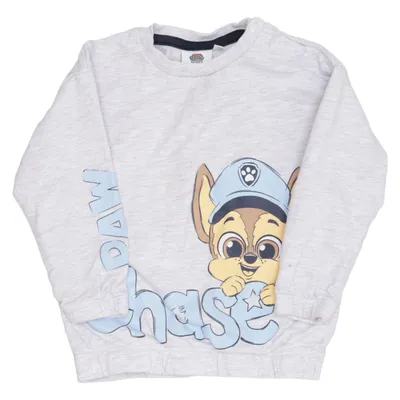 Sweatshirt (Grijs, Meerkleurig) van Nickelodeon Katoen, Viscose