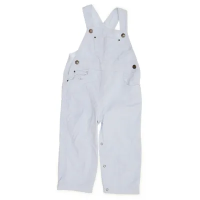 Dungarees (Blue) from Zara Baby