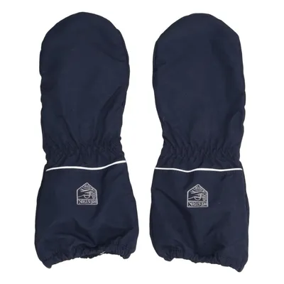 Mittens (Blue) from Hestra