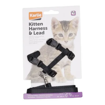 Cat harness (Kitten Harness & Lead) from Karlie