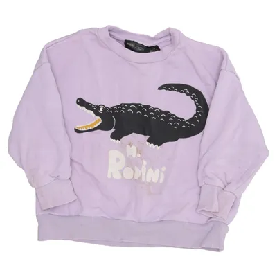 Sweatshirt (Lila) van Mini Rodini Organisch katoen