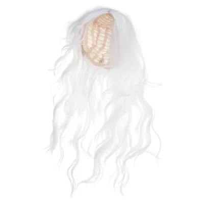 Wig (White)