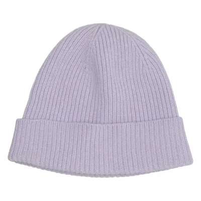 Beanie (Purple) from Colorful Standard Merino wool