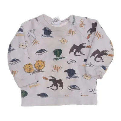 Sweatshirt (Beige, Flerfarvet) fra Harry Potter x H&M Bomuld, Elastan