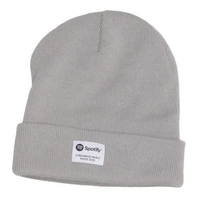 Beanie (Gray) from Beechfield Acrylic