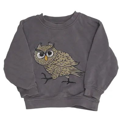 Sweatshirt (Grijs) van Mini Rodini Katoen, Polyester