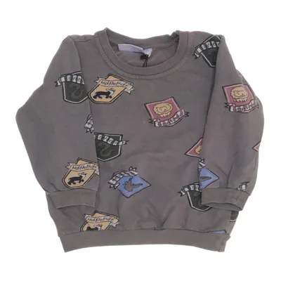 Collegetröja (Grå, Flerfärgad) från Harry Potter