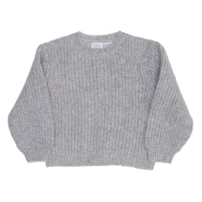 Trui (Grijs) van Zara