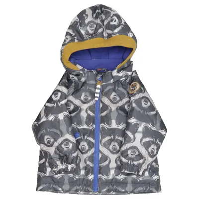 Vinterjacka (Grå, Blå, Gul) från Racoon Polyamid, Polyester