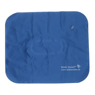 Huvudkudde (Blå) från Siden Selma