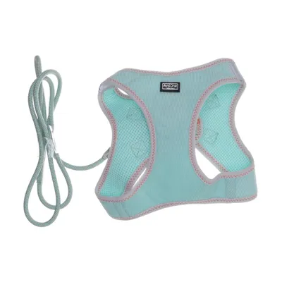 Hundsele (Turkos) från AniOne