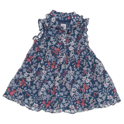 Jurk (Blauw, Meerkleurig) van BabyGap Katoen
