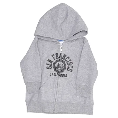 Hoodie (Core Fleece) from Port & Company Cotton, Polyester
