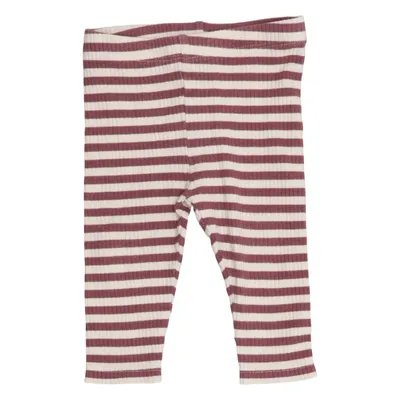 Leggings (Beige, Purple) from The New Siblings