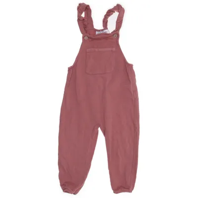 Dungarees (Pink) from Zara Baby