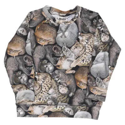 Sweatshirt (Elmo) de Molo Élasthane, Coton biologique