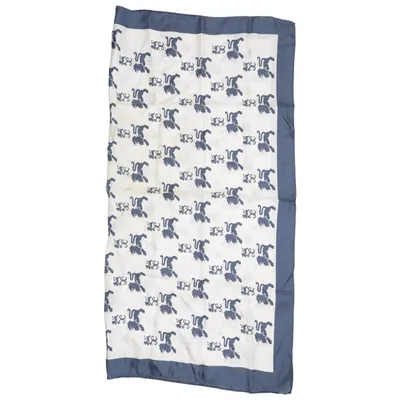Foulard (Beige, Bleu)