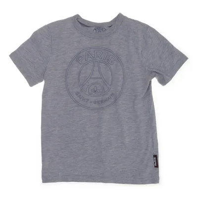 T-shirt (Gray) from Paris Saint-Germain Cotton, Polyester