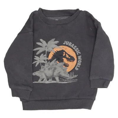 Sweatshirt (Grijs, Meerkleurig) van Jurassic World Katoen, Polyester