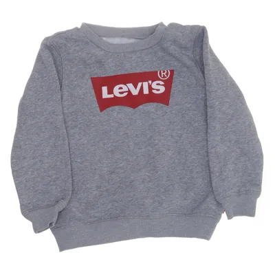Collegetröja (Grå) från Levi Strauss & Co Bomull, Polyester