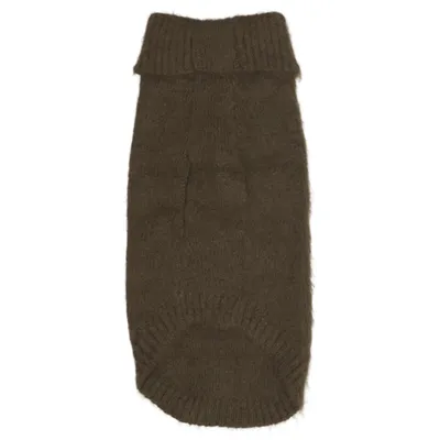 Vêtements pour chien (Vert) de H&M