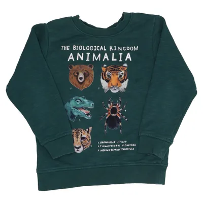 Sweatshirt (Animalia) van Kelzuki x H&M Katoen, Polyester