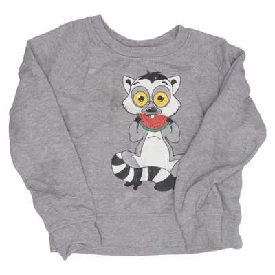 Sweatshirt (Gray) from Tao & Friends Organic cotton