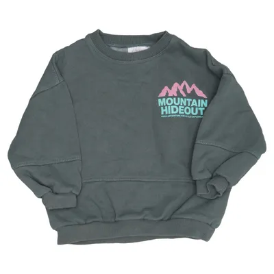 Sweatshirt (Groen, Meerkleurig) van Zara Katoen, Elastaan