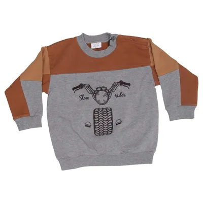 Sweatshirt (Gris, Marron, Multicolore) de Hust and Claire Coton, Élasthane