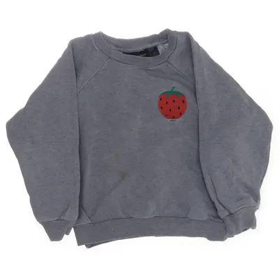 Collegetröja (Grå) från Mini Rodini Bomull