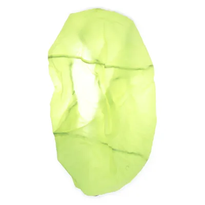 Ryggsäcksskydd (Grön) från Etullsa Polyester