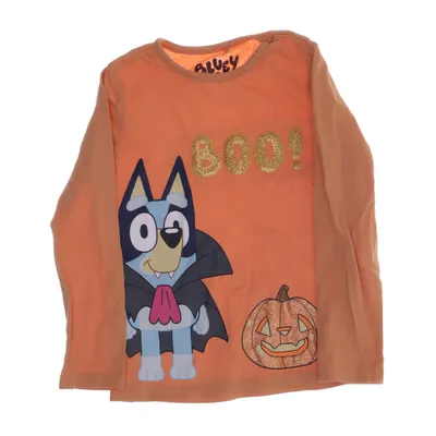 Long sleeve T-shirt (Orange) from Bluey Cotton