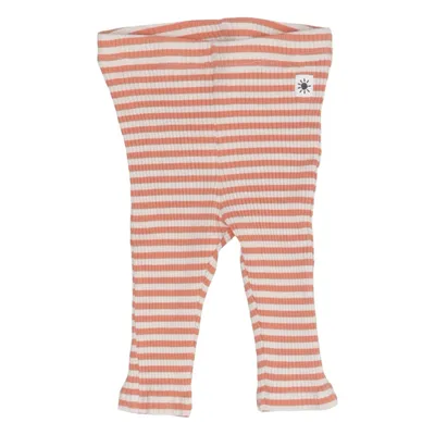 Legging (Beige, Orange) de Lindex Baby Coton, Élasthane