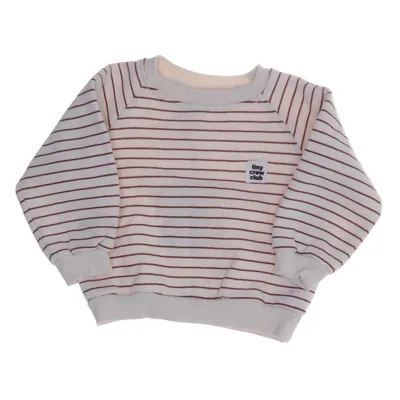 Collegetröja (Beige, Brun) från Zara Bomull, Polyester