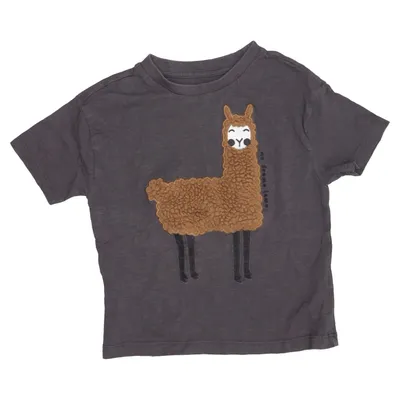 T-shirt (Gris, Marron) de Milly & Willy Coton