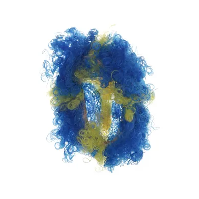 Wig (Blue, Yellow)