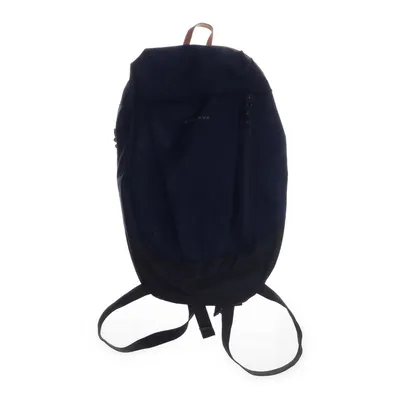 Backpack (Blue, Gray) from Quechua