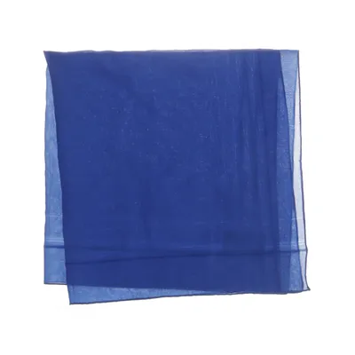 Näsduk (Blå)